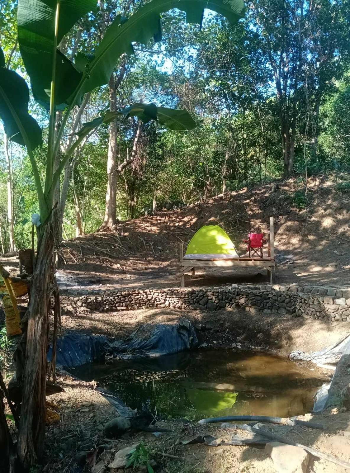 Eastdee Camping Ground Lidlidda Buitenkant foto